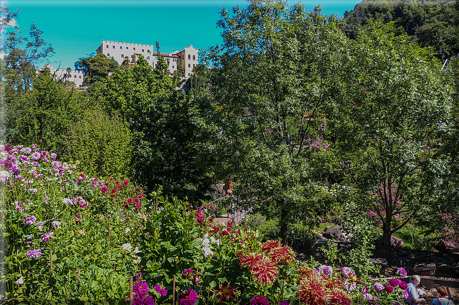 foto Giardini Trauttmansdorff - Paesaggi dell'Alto Adige